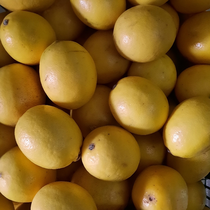 Lemon California