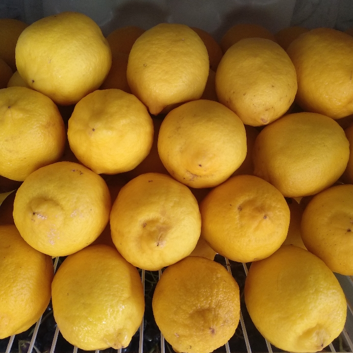 Lemon Import