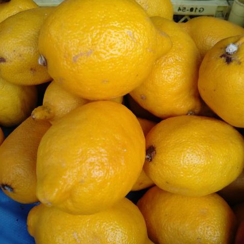 Lemon Import