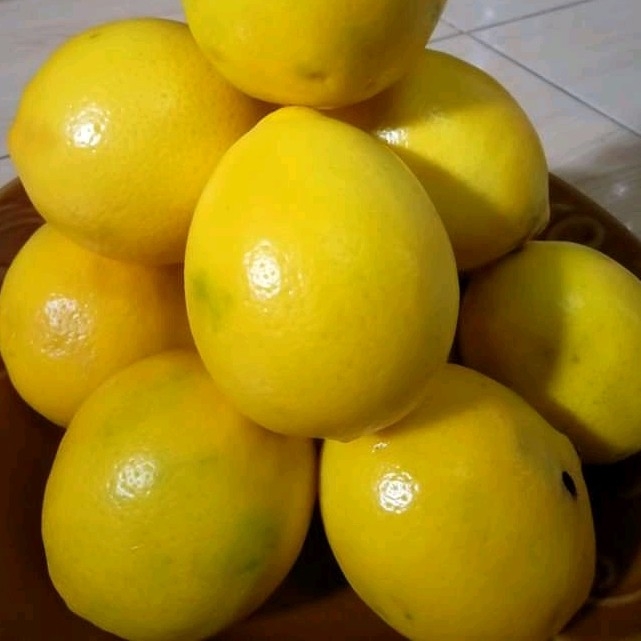 Lemon Kuning Lokal