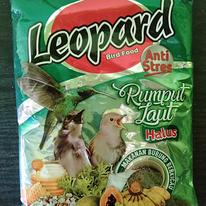 Leopard Rumput Laut