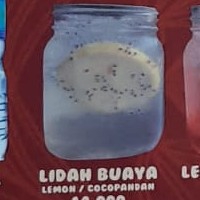 Lidah Buaya