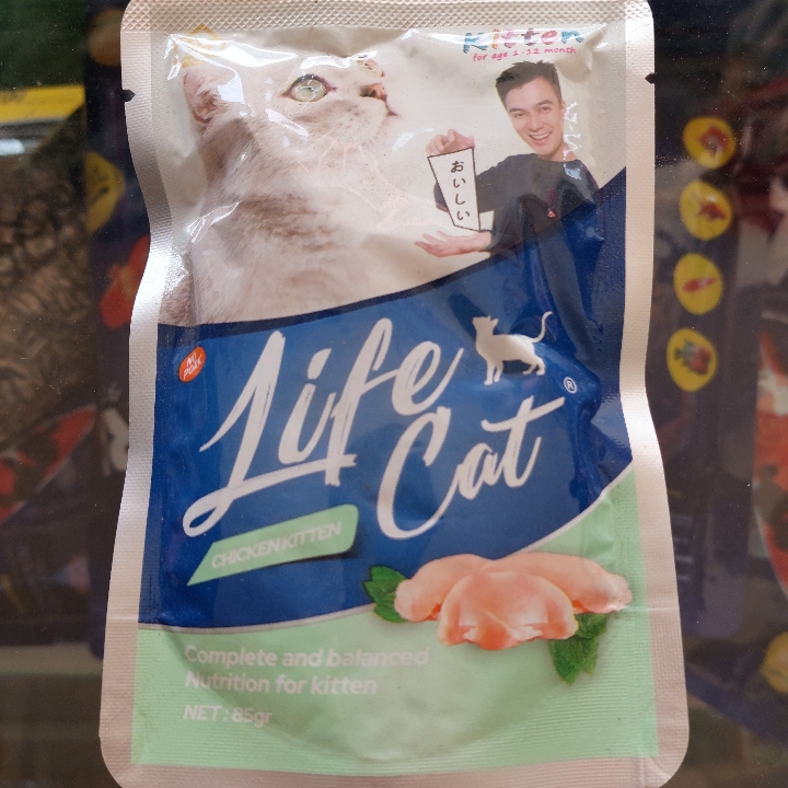 Life Cat Pound Chiken Kitten