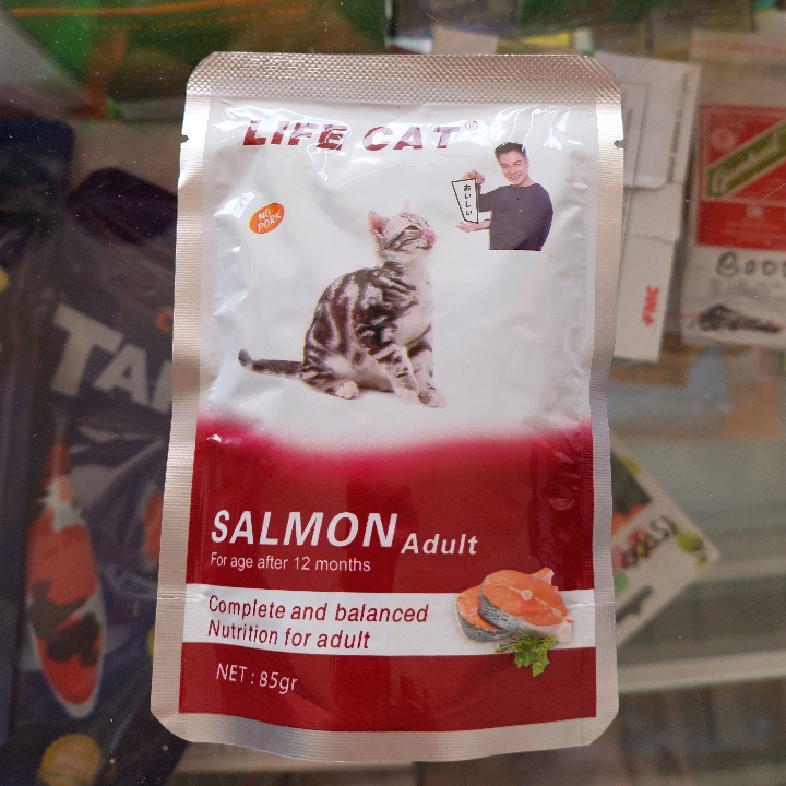 Life Cat Salmon Adul