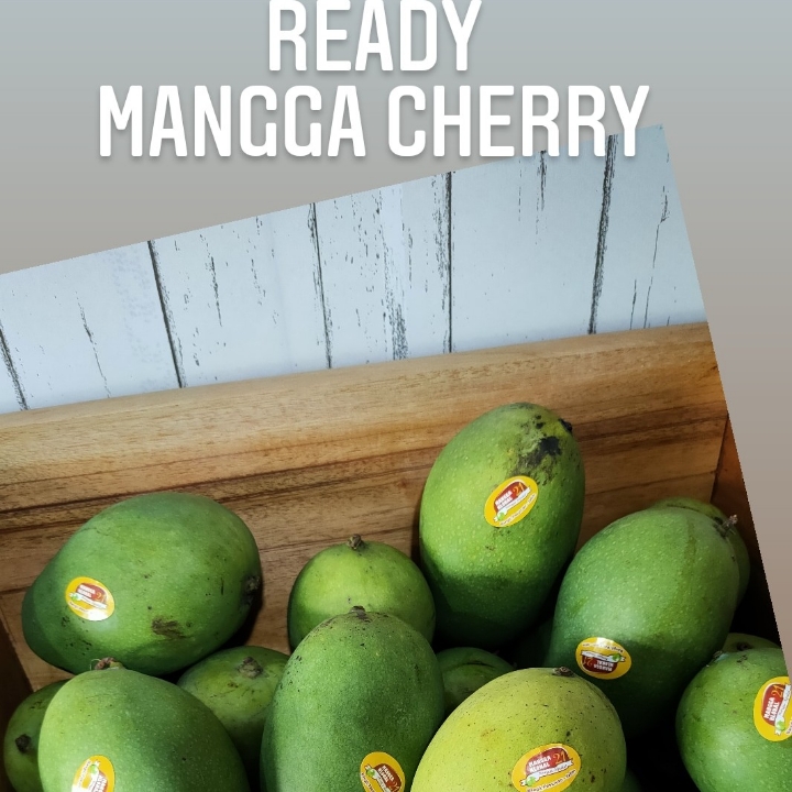 MANGGA CHERRY