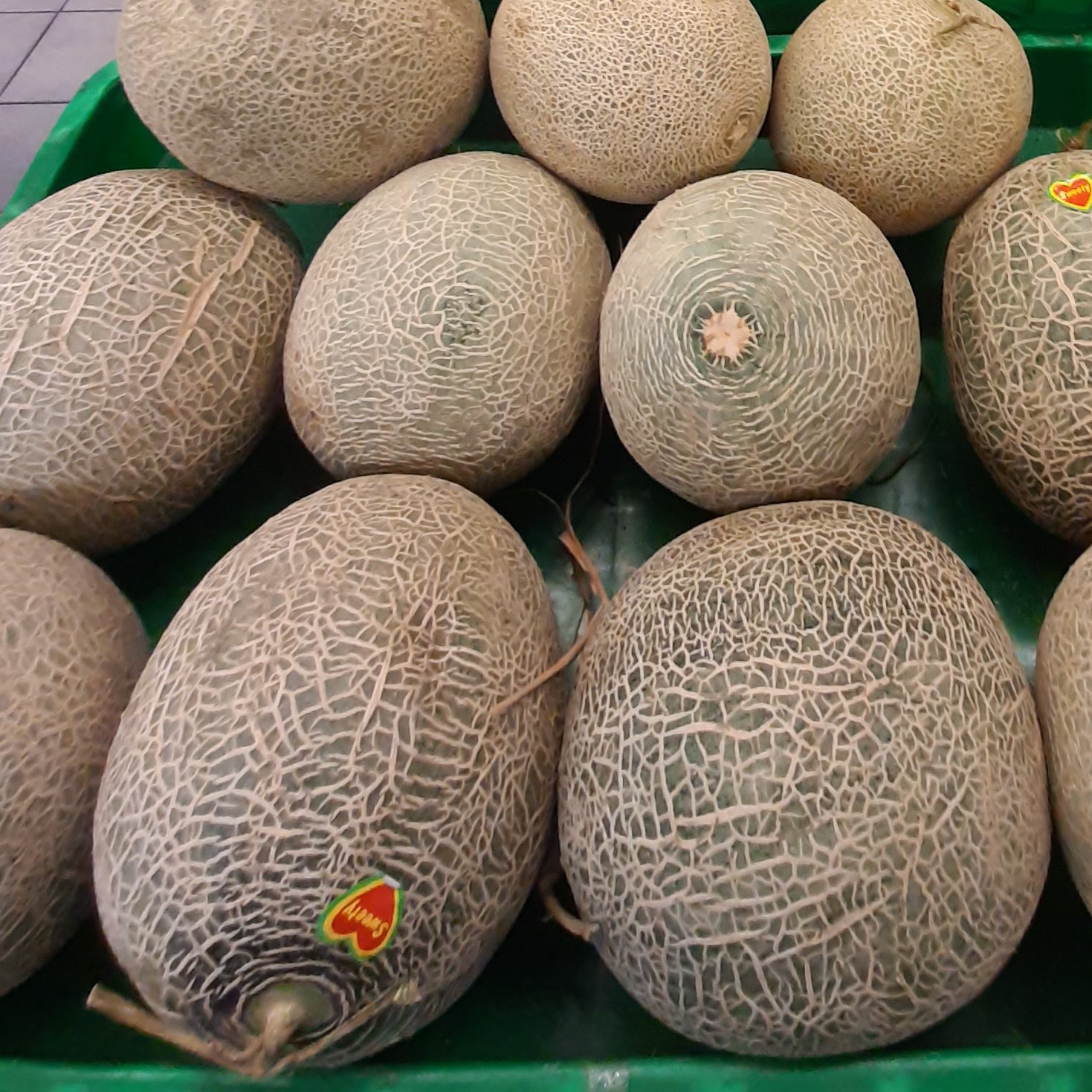 MELON KUNING KEMASAN 2KG 2