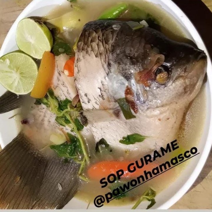 MENU IKAN GURAME - Pilih Varian Untuk Menu Lainnya