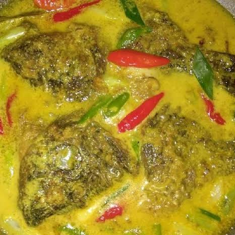 MUJAIR GULAI