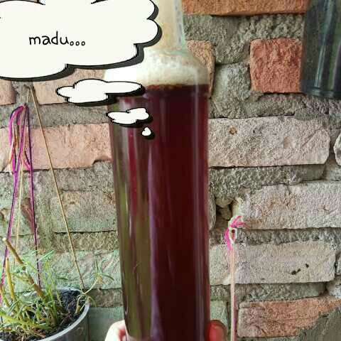 Madu Asli