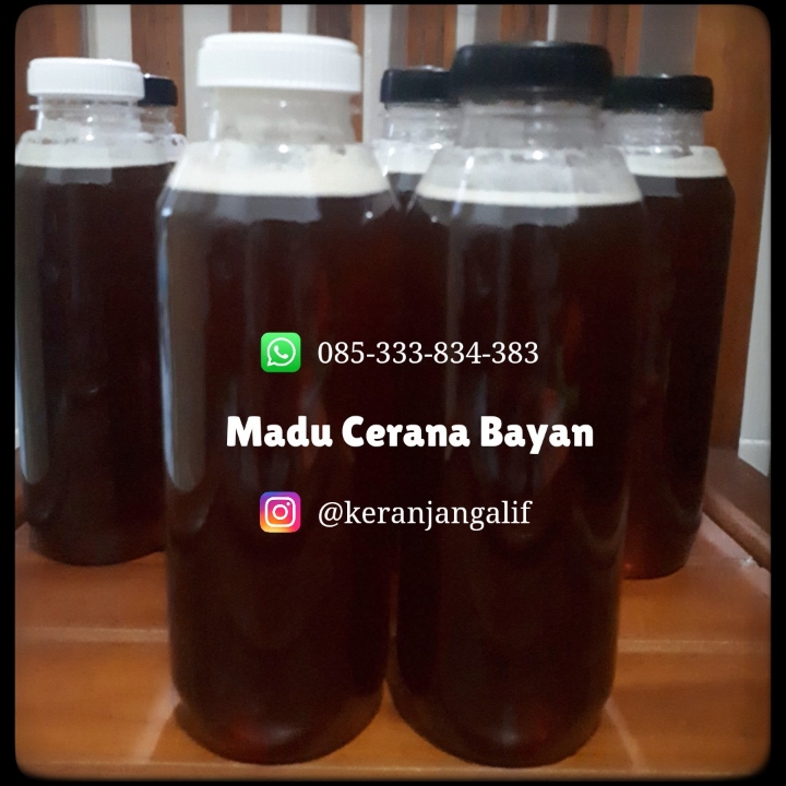 Madu Cerana Bayan 