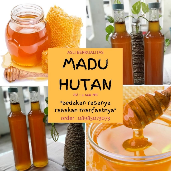 Madu Hutan Asli