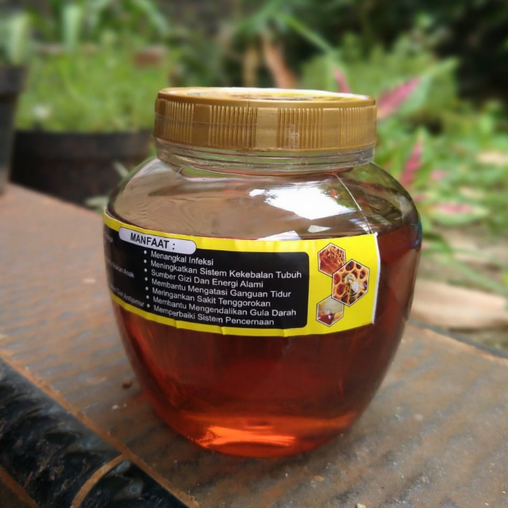 Madu Kalimantan