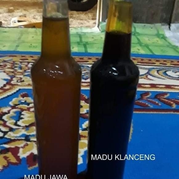 Madu Klanceng ASLI