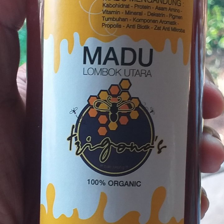 Madu Trigona