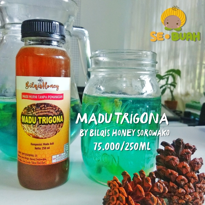 Madu trigona