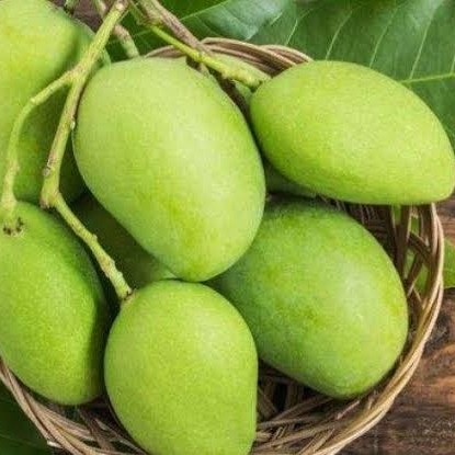 Mangga Muda