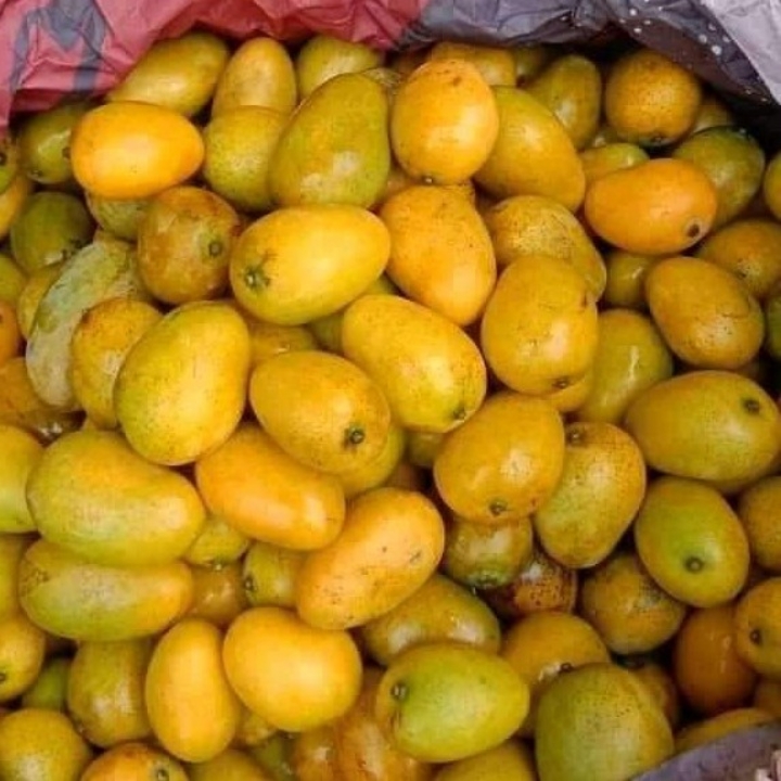 Mangga Toba 1 Kg