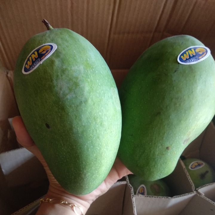 Mangga super Kardusan