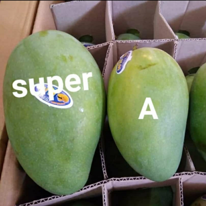 Mangga super Kardusan 2