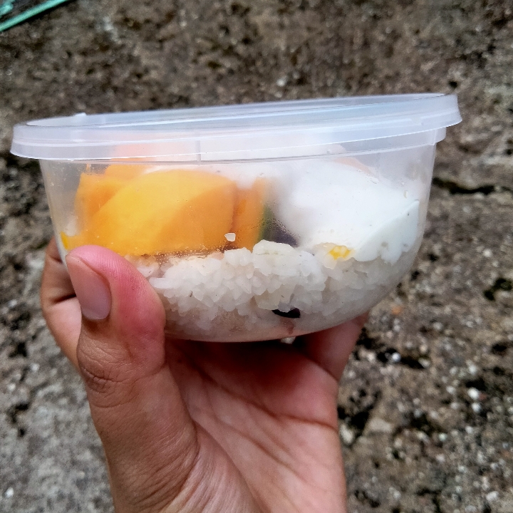 Manggo sticky rice dessert box 2