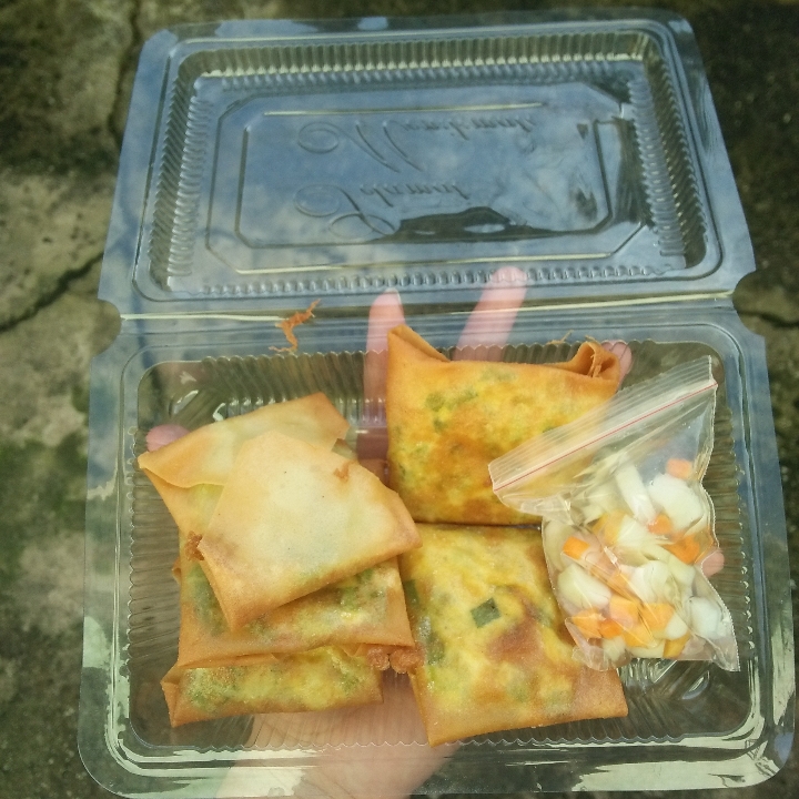 Martabak Mini 