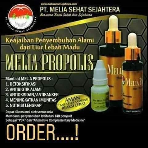 Melia Propolis