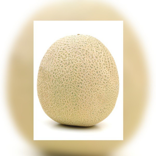 Melon