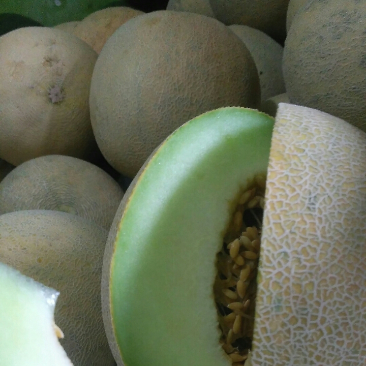 Melon 2