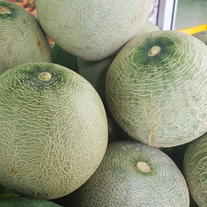 Melon Hijau