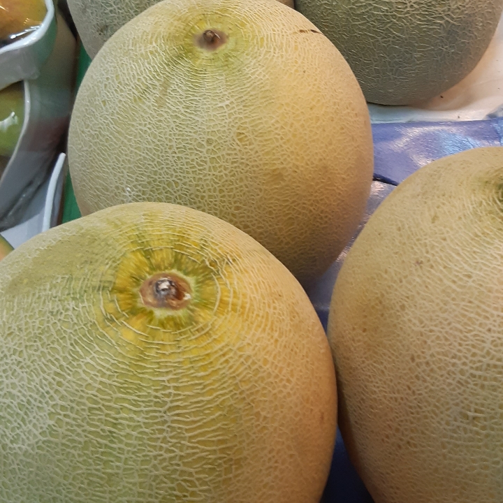 Melon Madu