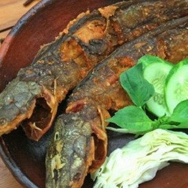 Menu Ikan Lele