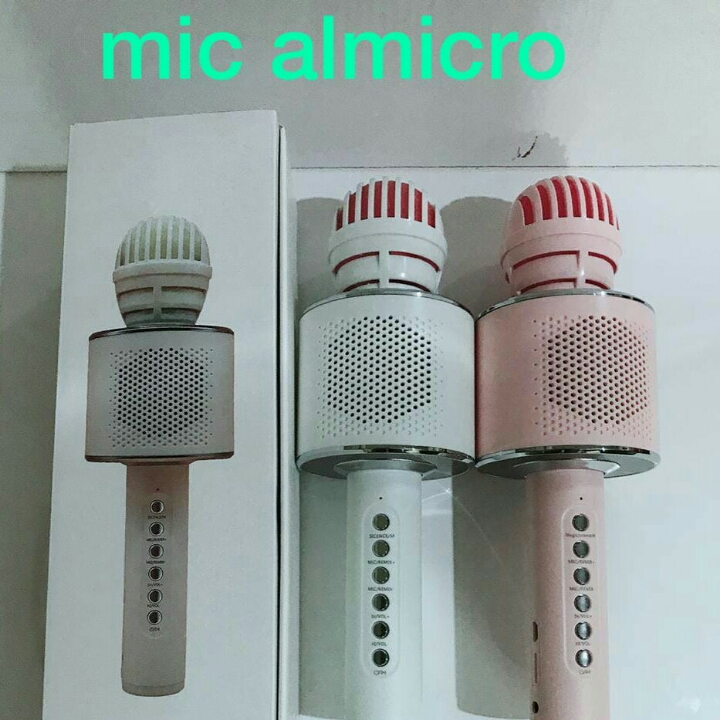 Mic Speaker Almicro