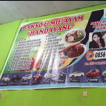 Mie Ayam Bakso Handayani 3