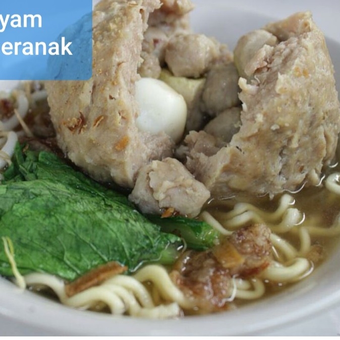 Mie Bakso Beranak