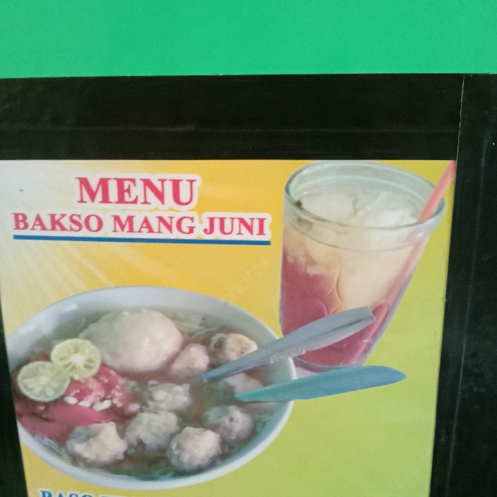 Mie Baso Ikan Biasa