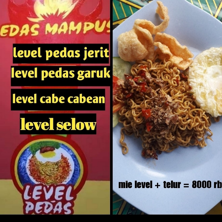 Mie Level