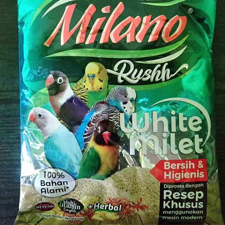 Milano Miltih