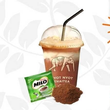 Milo Thaitea