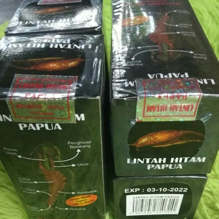 Minyak Lintah Hitam Papua 2