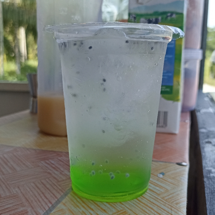 Mojito Nutrisari