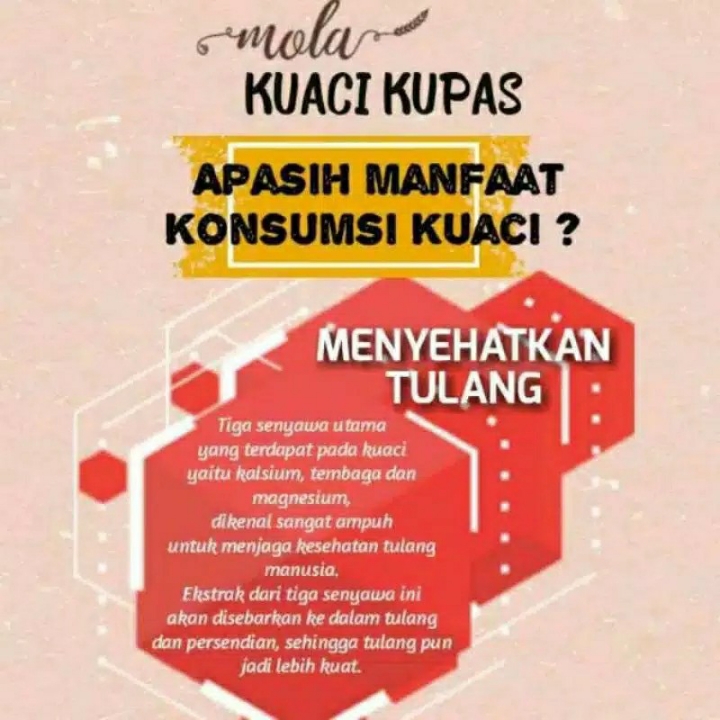 Mola Kuaci Kupas Balado 4