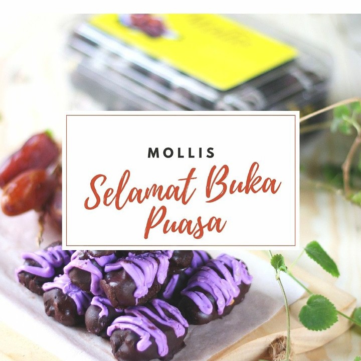 Mollis kurma coklat premium