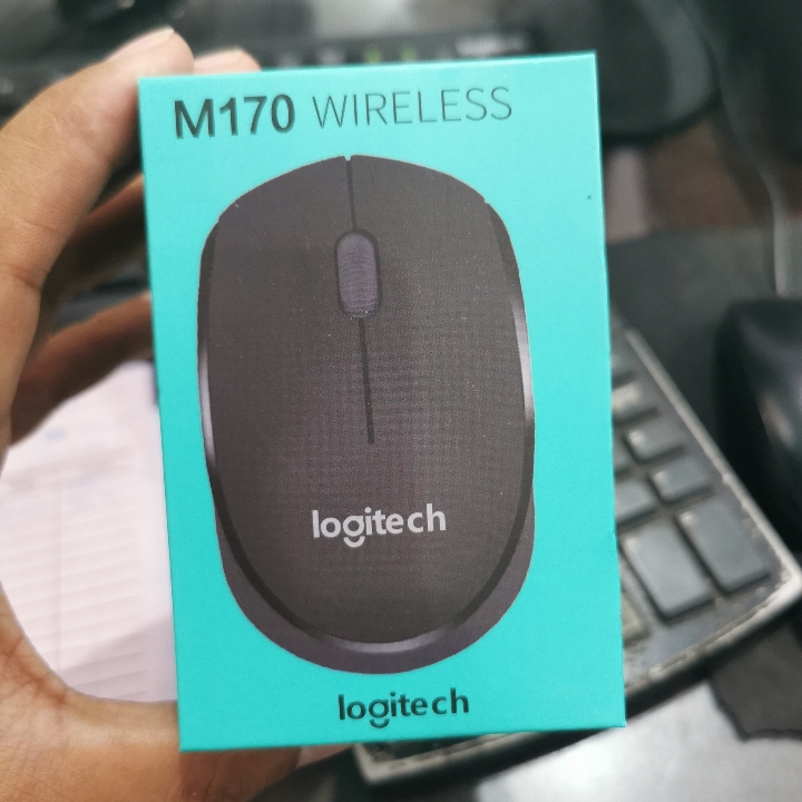 Mouse Wireless Logitecth M170