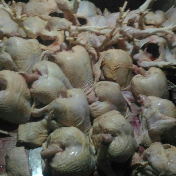 Mubarok Fresh Chicken 2