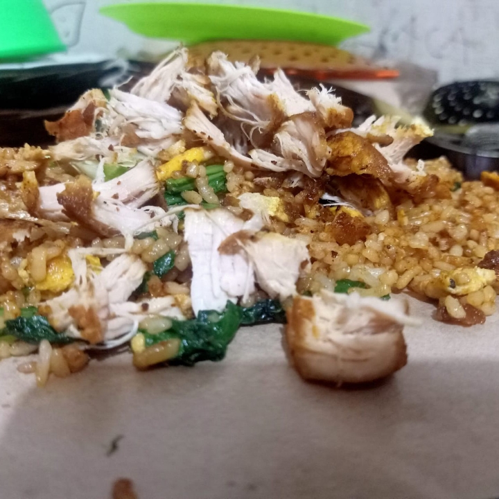 NASI GORENG BIASA