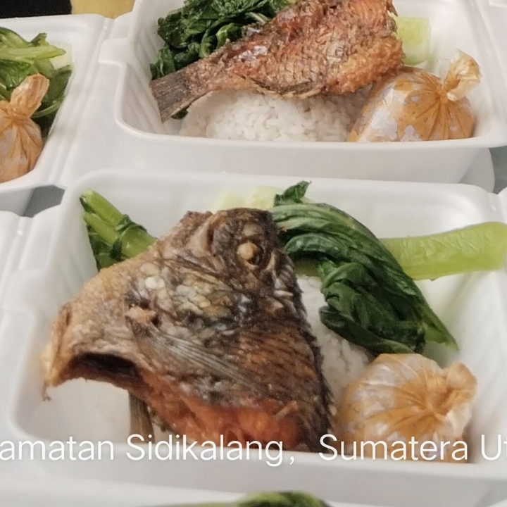 NASI IKAN MUJAHIR NATINOMBUR 