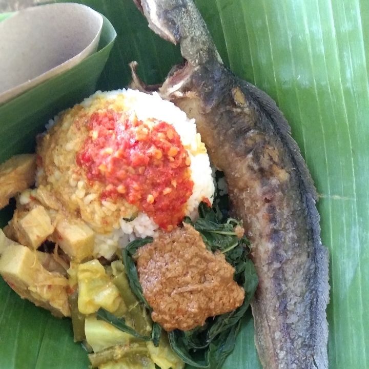 NASI LELE GORENG