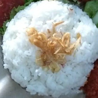 Nasi 