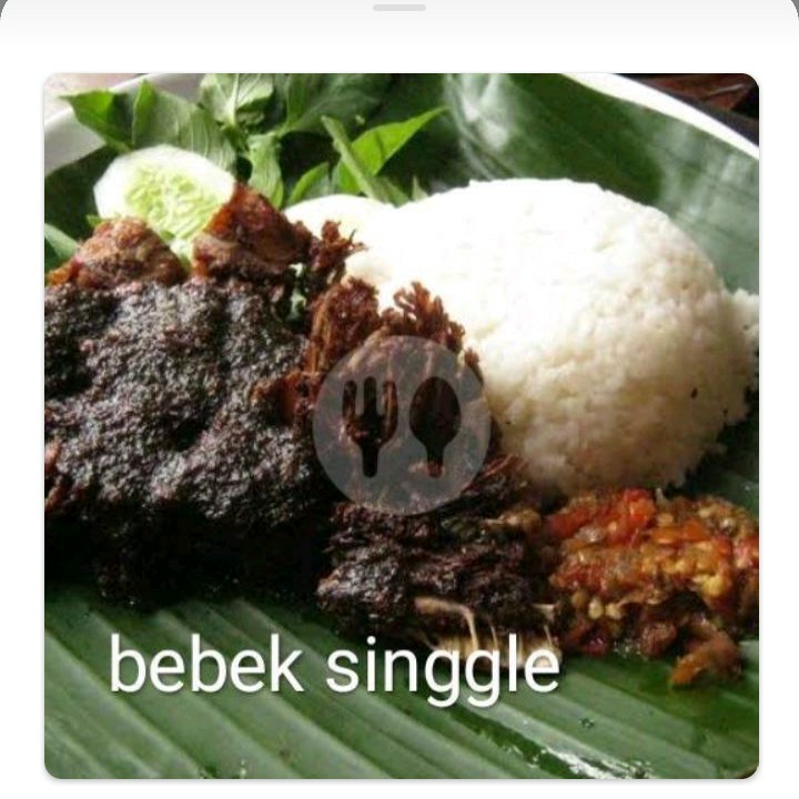 Nasi Bebek Single