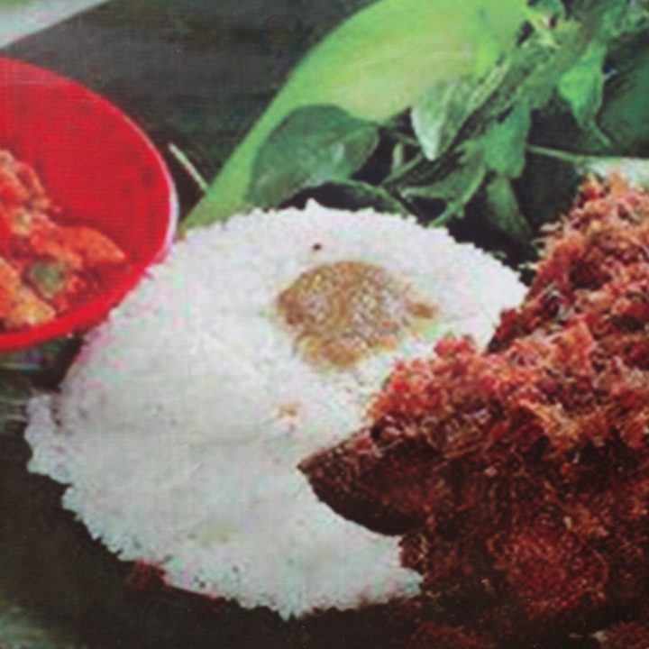 Paket Hemat Nasi Bebek TOJU